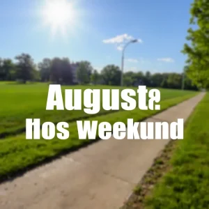 Sunshine and Mild Temperatures Expected in Augusta This Weekend