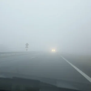 Fog Advisory Issues in Central Georgia Amidst Aiken Traffic Fatality